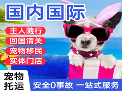 宝安航空物流国际宠物托运 【国